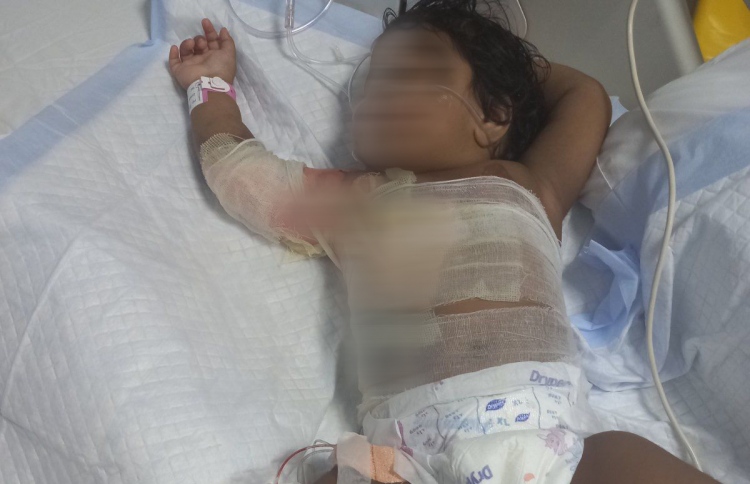 ހޫނު ފެންތަށި ބަންޑުންވެ ކުއްޖަކު ވަރަށްބޮޑަށް ފިހިިފައި