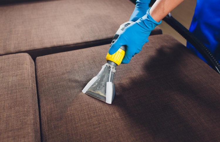 ސޯފާ އާއި ކާޕެޓް ބާވިޔަސް އެއްލައިލާކަށް ނުޖެހޭނެ