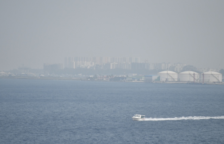 ވައިނުސާފުވެ ދުރު ފެންނަ ވަރު 60 ޕަސެންޓް ދަށަށް