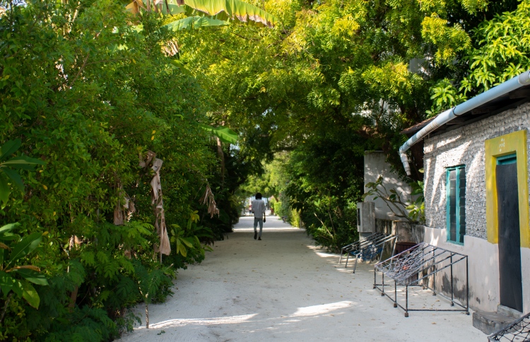 ދިވެހިންނަށްވުރެ ބިދޭސީން ދެ ގުނަ އިތުރު ރަށެއް