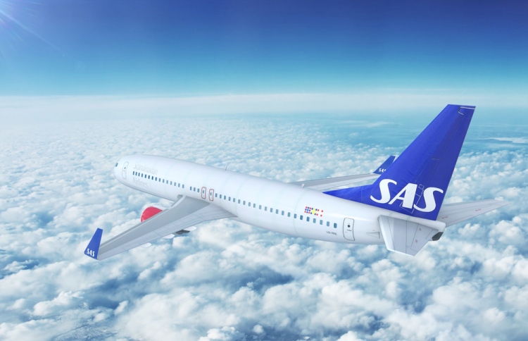 ޑެންމާކުގެ އެތެރޭގެ ވައިގެ ދަތުރު ސާފު ހަކަތަ އަށް