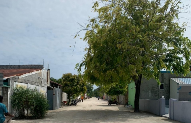 އުދައްޔުގެ މަރު: ހެކިންގެ މައުލޫމާތު ސިއްރުކޮށްފި