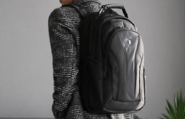 The ergonomic laptop carrier backpack -- Photo: Level8