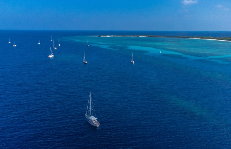 ރެލީގައި ބައިވެރިނުވެ ގިނަ ޔޮޓްތައް ރާއްޖޭން ފުރައިފި