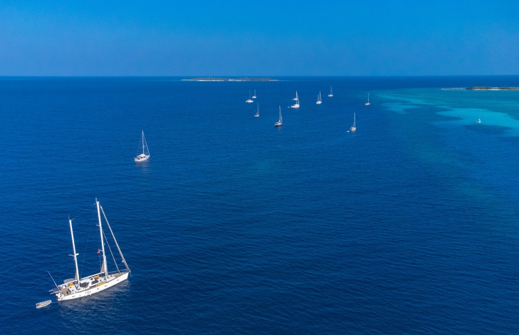 ގިނަ ޔޮޓްތައް ރެލީގައި ބައިވެރިނުވެ އެނބުރި ދަނީ