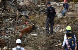 A rescue dog searches for victims after a landslide caused by heavy rains in Pereira, Risaralda department, Colombia, on February 8, 2022. - At least 11 people died and 35 were injured in a mudslide triggered by heavy rains in  Colombia on Tuesday, the national disaster agency said. -- Photo: Luis Robayo/ AFP