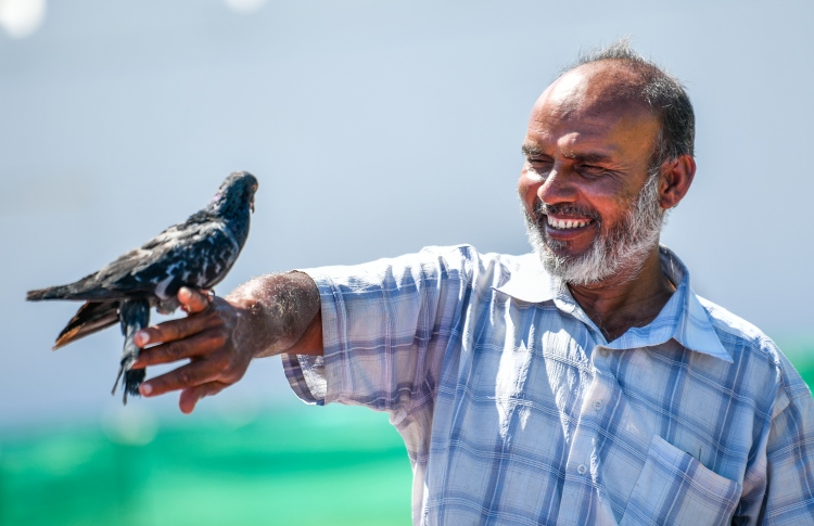 ފޮޓޯ ސްޓޯރީ: ކޮތަރުތަކުގެ އެންމެ ގާތް އެކުވެރިޔާ