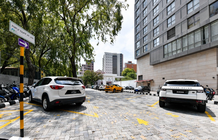 ޑޮމެއިން ވިއްކުން އަންނަ މަހު އަލުން ފަށަނީ