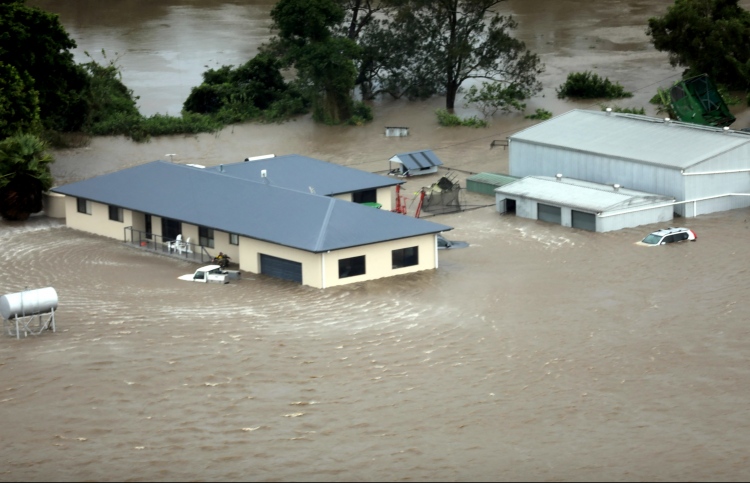 ސިޑްނީގެ އާންމުން ސަލާމަތްކަން ހޯދުމަށް އަންގައިފި