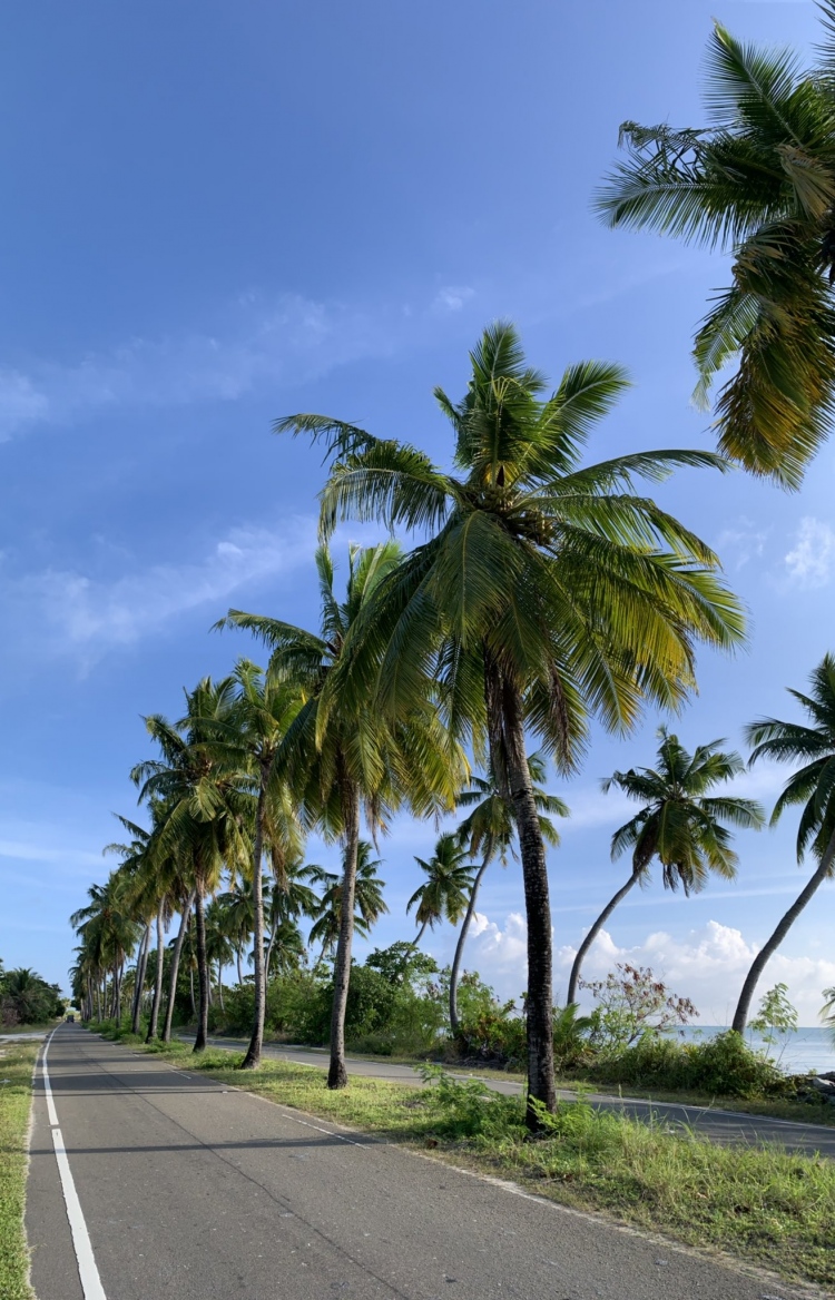 އައްޑޫގެ ރުއްފަށާ ކަނޑާލުމުން އެންމެން ރުޅިގަދަވެއްޖެ