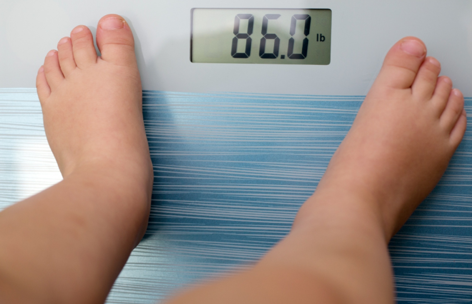 ކުއްޖެއްގެ ހުންނަން ޖެހޭ ބަރުދަނަށް ވުރެން އިތުރުވެފައި.