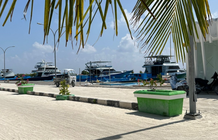 މަހަށް ނުކުމެ އުޅުނު މީހަކު ކުއްލި ގޮތަކަށް ނިޔާވެއްޖެ