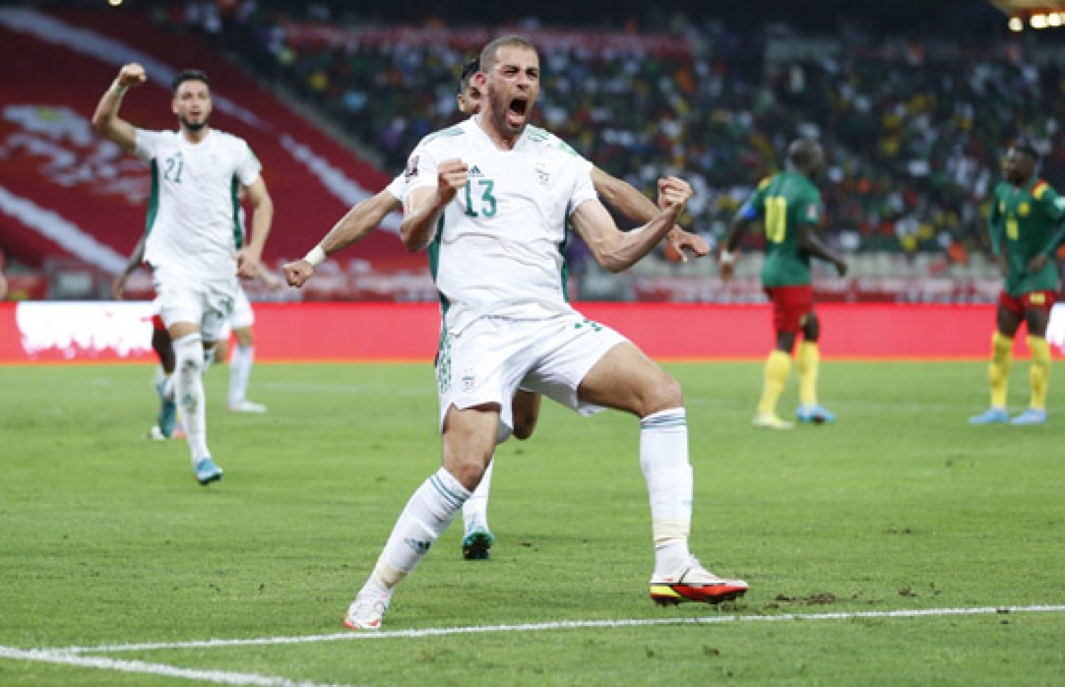 ސްލިމާނީ ކެމަރޫން ކޮޅަށް ލަނޑު ޖެހުމަށް ފަހު.--