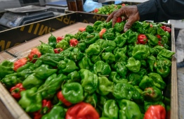 Kandoodhoo chilies in the local market -- Photo: Nishan Ali