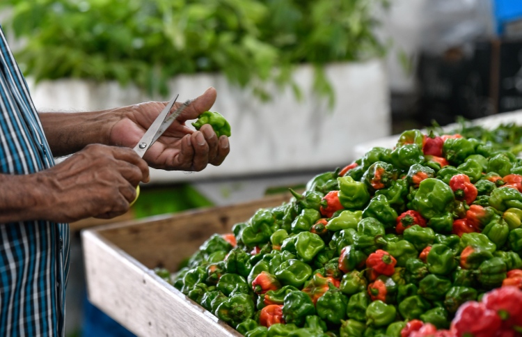 ޑިމާންޑް ދަށްވެ މާރުކޭޓުގައި ތަކެތީގެ އަގު ދަށަށް