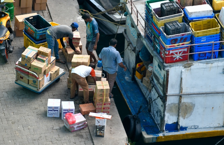 ރާއްޖޭގެ ދަރަނި ޖީޑީޕީގެ ނިސްބަތުން 115 ޕަސެންޓަށް