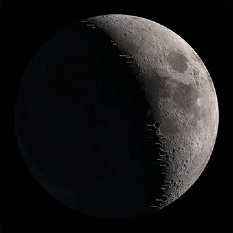 މާދަމާ އީދަށް ވާނެ ކަމާ މެދު ސުވާލެއް ނެތް