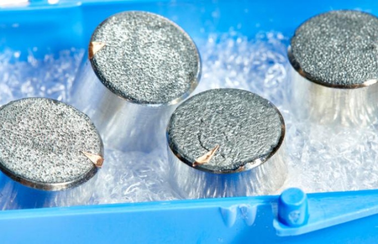 ހަނދުން ގެނައި ހިރަފުސްތަކެއް ނީލަމުގައި ވިއްކާލަނީ