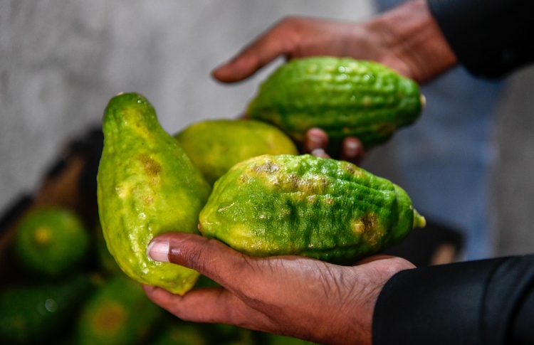 ބަންގްލަދޭޝްގެ ލުނބޯ ދިވެހިންނަށް ކަމަކުނުދިޔަ