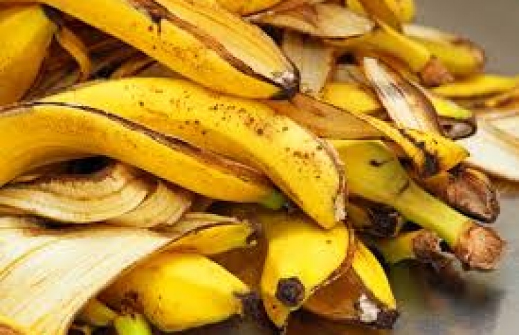 ދޮންކެޔޮ ތޮށިން ސްމޫތީއެއް ހެދިދާނެ