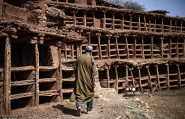 In this file photo taken on February 25, 2020, a beekeeper works at the Inzerki Apiary in the village of Inzerki, 82 km north of Agadir, in the Souss-Massa region. Morocco's village of Inzerki proudly claims to have the world's oldest and largest collective beehive, but instead of buzzing with springtime activity, the colonies have collapsed amid crippling drought.  -- Photo: Fadel Senna / AFP