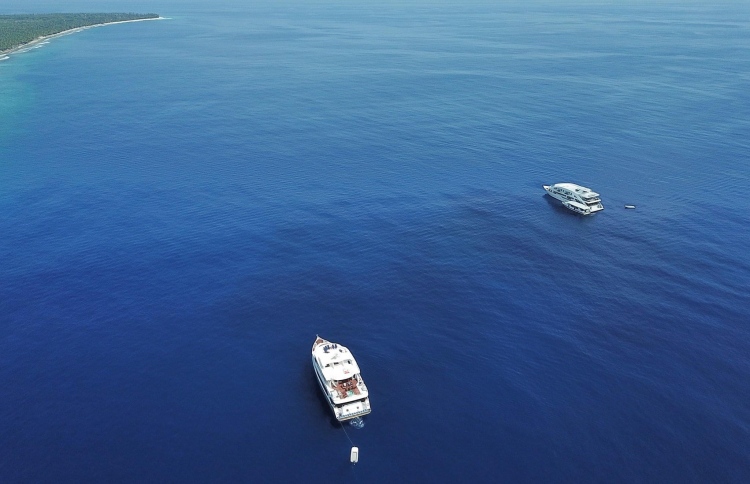 ފުވައްމުލަކުގައި ސަފާރީތަކުން ނަގާ ފީ މުރާޖައާ ކުރަނީ