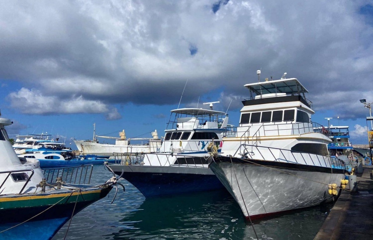 900 ޓަނު މަސް ކިރުވަން 63 ދޯނި ކިއޫގައި!