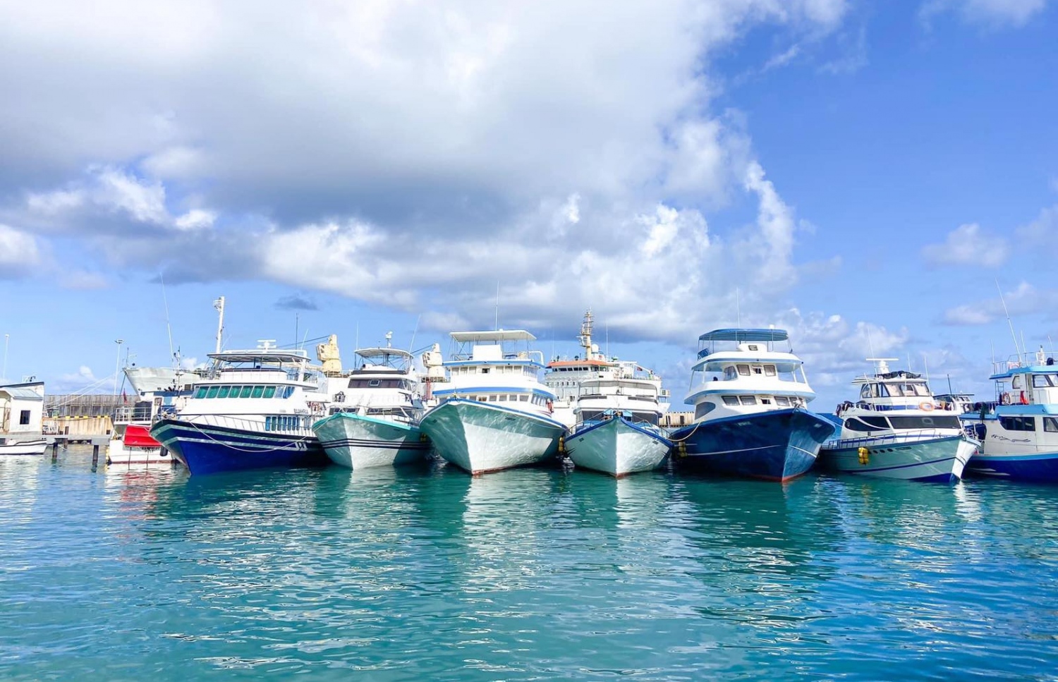 ކޫއްޑޫގެ ބަނދަރުގައި މަސް ކިރަން ގާތްގަނޑަކަށް 30 ވަރަކަށް ދޯނި އެބައޮތް--ފޮޓޯ:މިހާރު