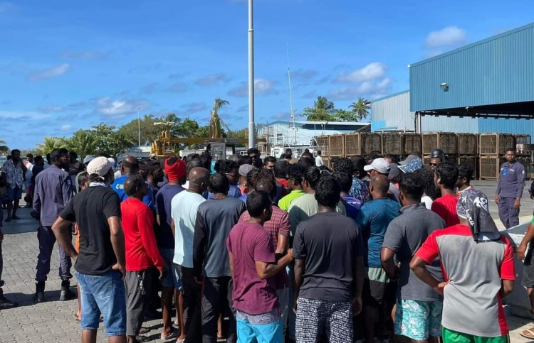 ހޯނޑެއްދޫ ކޯލްޑް ސްޓޯރޭޖު އަވަހަށް ނިންމަން ގޮވާލައިފި