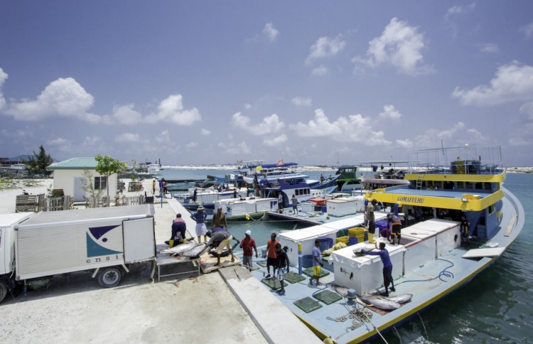 މިފްކޯ ރޭޓުގައި ހުޅުމާލޭން މަސްވެރިންނަށް ތެޔޮ ލިބޭނެ