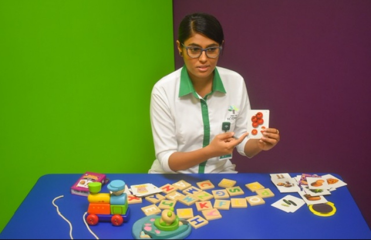 އޯޓިޒަމަށް ގިނަ ފަރުވާތަކެއް ޓްރީ ޓޮޕުން