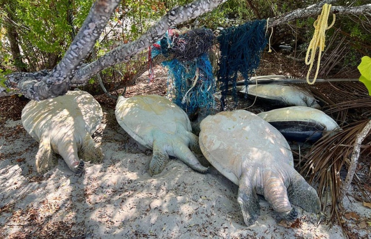 ފަޅުރަށެއްގައި ބަޔަކު ވެލާ ހިފި މައްސަލައެއް ބަލަނީ