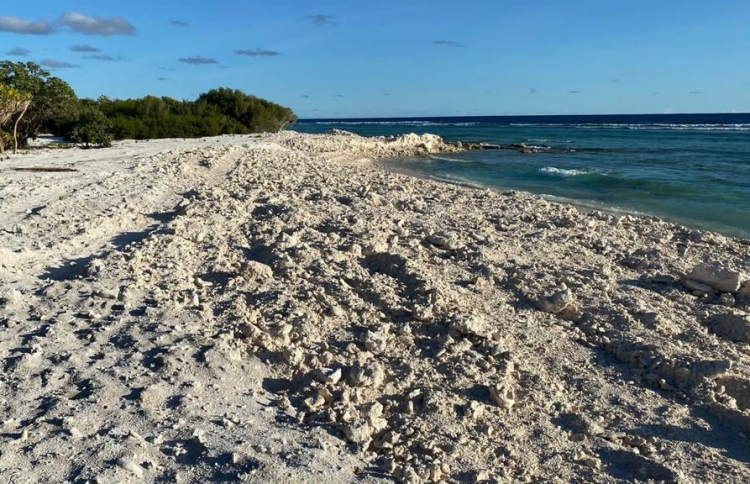 ބީޗު ހަދަން ހޭޅިފަށަށް ގެއްލުން ދިން މައްސަލަ ބަލަނީ