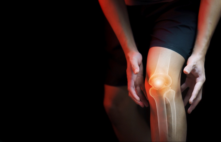 ޓްރީ ޓޮޕުން ކަކުލުގެ ބޮޑު ސާޖެރީއެއް ކާމިޔާބުކޮށްފި