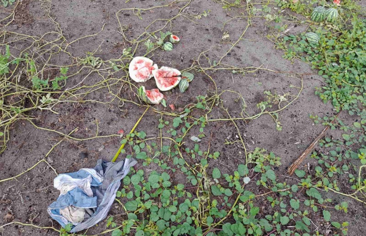 ދަރަނބޫދޫގެ ދަނޑުތަކަކަށް ގެއްލުންދީފި