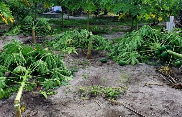 ގެއްލުން ދޭތީ ދަރަނބޫދޫގެ ދަނޑުވެރިކަން ހުއްޓިދާނެ