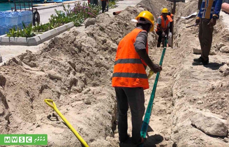 ކެންދޫގައި ނަރުދަމާގެ މަސައްކަތް ފަށަނީ