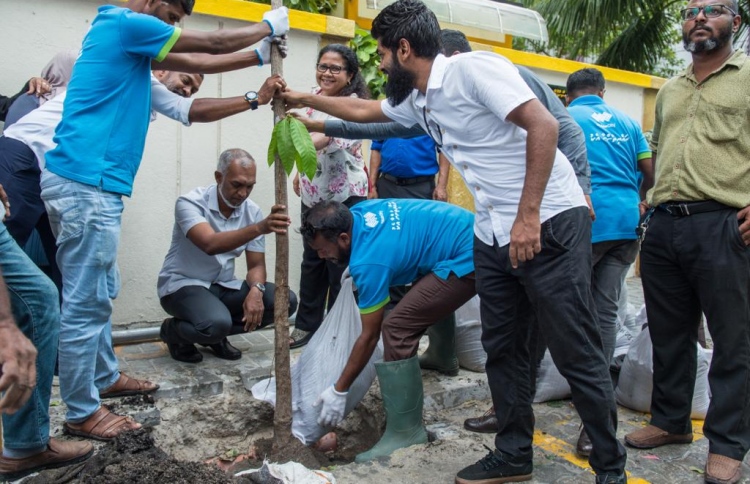 ކަނބާއައިސަރަނިހިނގުމުގައި ވެސް އިންދީ އަނބުގަހެއް!