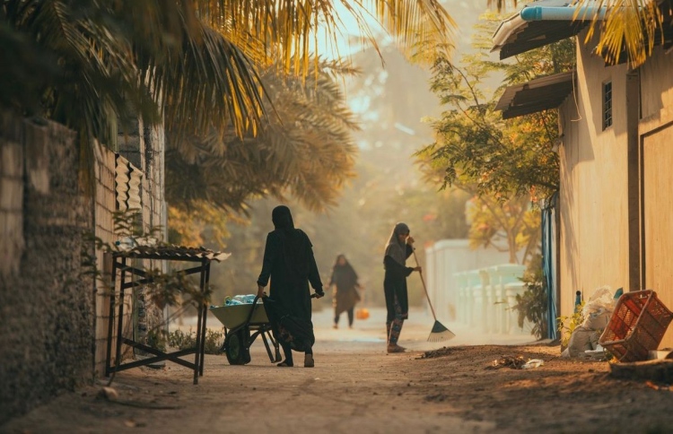 ޅޮހިން މާލެއަށް ދަތުރު ނުކުރާތީ ރަށުން ކާޑު ހުސްވެއްޖެ