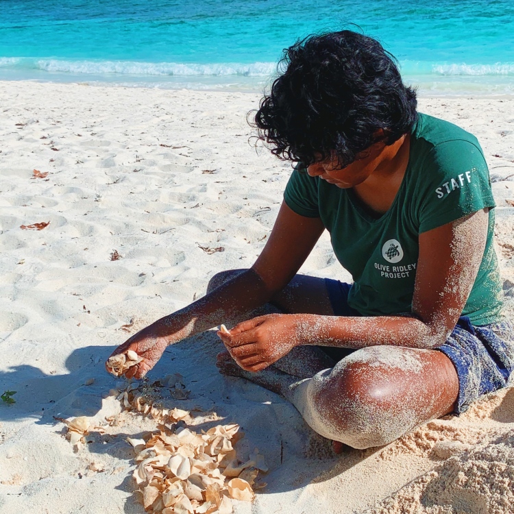 މޫދަށް އޮތް ބިރު ކަނޑާލައި، ވެލާތަކުގެ ހިމާޔަތުގައި