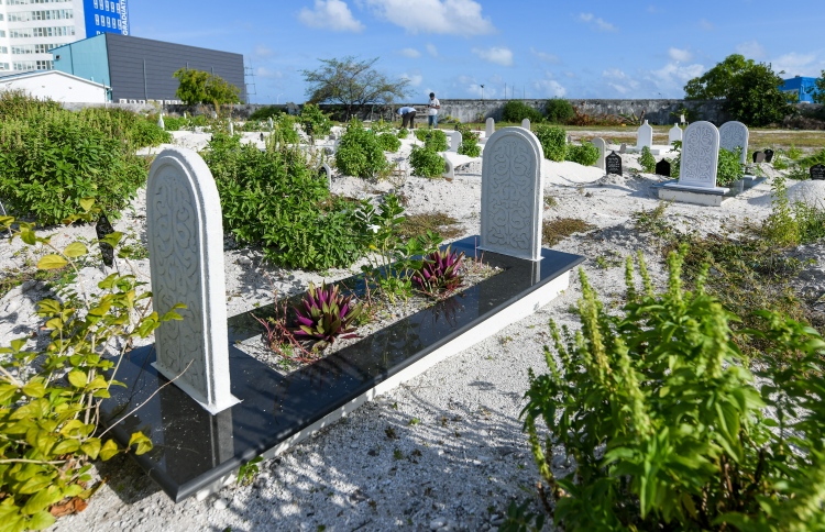 މަހާނަ ރީތިކުރުމުގެ ވާދަވެރިކަން ބޮޑު ވިޔަފާރިއަކަށް