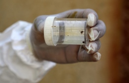 A health worker in Iraq's southern Dhi Qar province, holds a vial containing ticks that cause the Crimean-Congo haemorrhagic illness (CCHF), on May 25, 2022, during the country's worst detected outbreak of the illness. - The CCHF virus has no vaccine and onset can be swift, with a victim suffering from severe bleeding, both internally as well as externally and especially from the nose. It causes death in as many as two-fifths of cases, according to medics. -- Photo: Asaad Niazi/ AFP