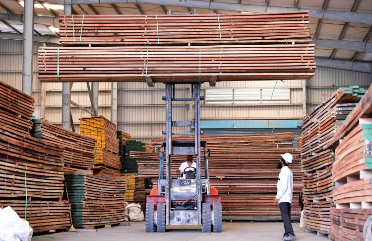 މާކެޓުގައި ހުރި އެންމެ މޮޅު ލަކުޑި، ވިލާ ހަކަތައިން