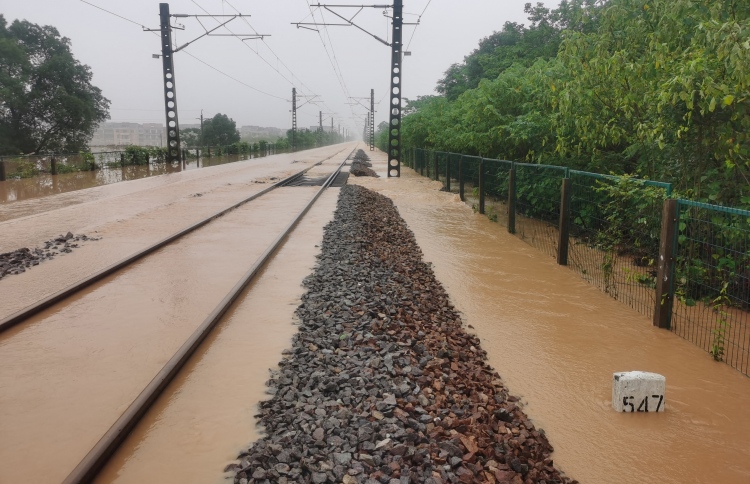 ޗައިނާއަށް ކުރާ ވިއްސާރައިގައި 20 މީހަކު މަރުވެއްޖެ