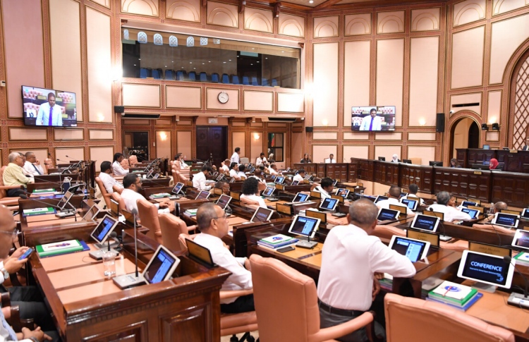 ހަތް ބިލެއް ކޮމިޓީއަށް، އިދިކޮޅުގެ މައްސަލަތައް ބޭރު