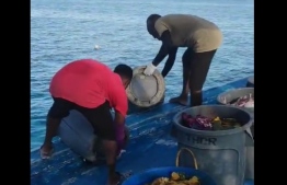 Crewmen on one of the vessels from Alimatha Resort disposing waste into the ocean--