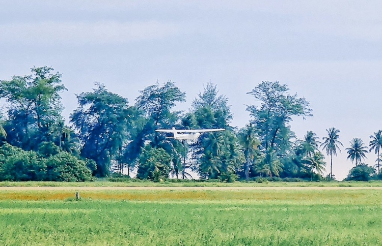 ބޮޑު މެދުކެނޑުމަކަށް ފަހު އެމްއޭއޭގެ ތަމްރީނު ފަށައިފި