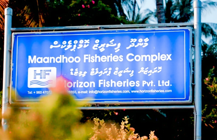 ހޮރައިޒަން ފިޝަރީޒް: މަސްވެރިންނާއި މަހުގެ ކުންފުނި