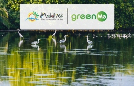 Promotional poster of MMPRC- Green Me campaign-- Photo: MMPRC
