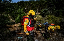 (FILES) In this file photo taken on August 30, 2019 Private firefighters from Afocelca, clear bushes close to an eucalyptus forest, during a drill at Constancia in Abrantes, central Portugal. - Faced with devastating fires that are likely to increase with global warming, Spain and Portugal are faced with the imperative to better manage their forests so that tens of thousands of hectares do not go up in smoke each summer.  -- Photo: Patricia De Moreira / AFP